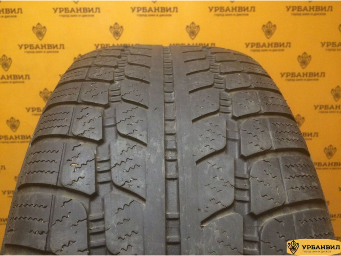 Sunny SN3830 225/50 R17 98V